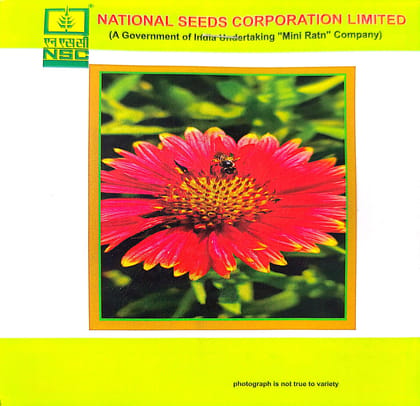 NSC Gaillardia Mix 2 gm Pack