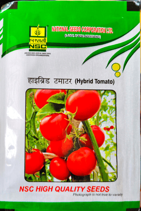 NSC HYBRID TOMATO/KASHI ABIMAN
