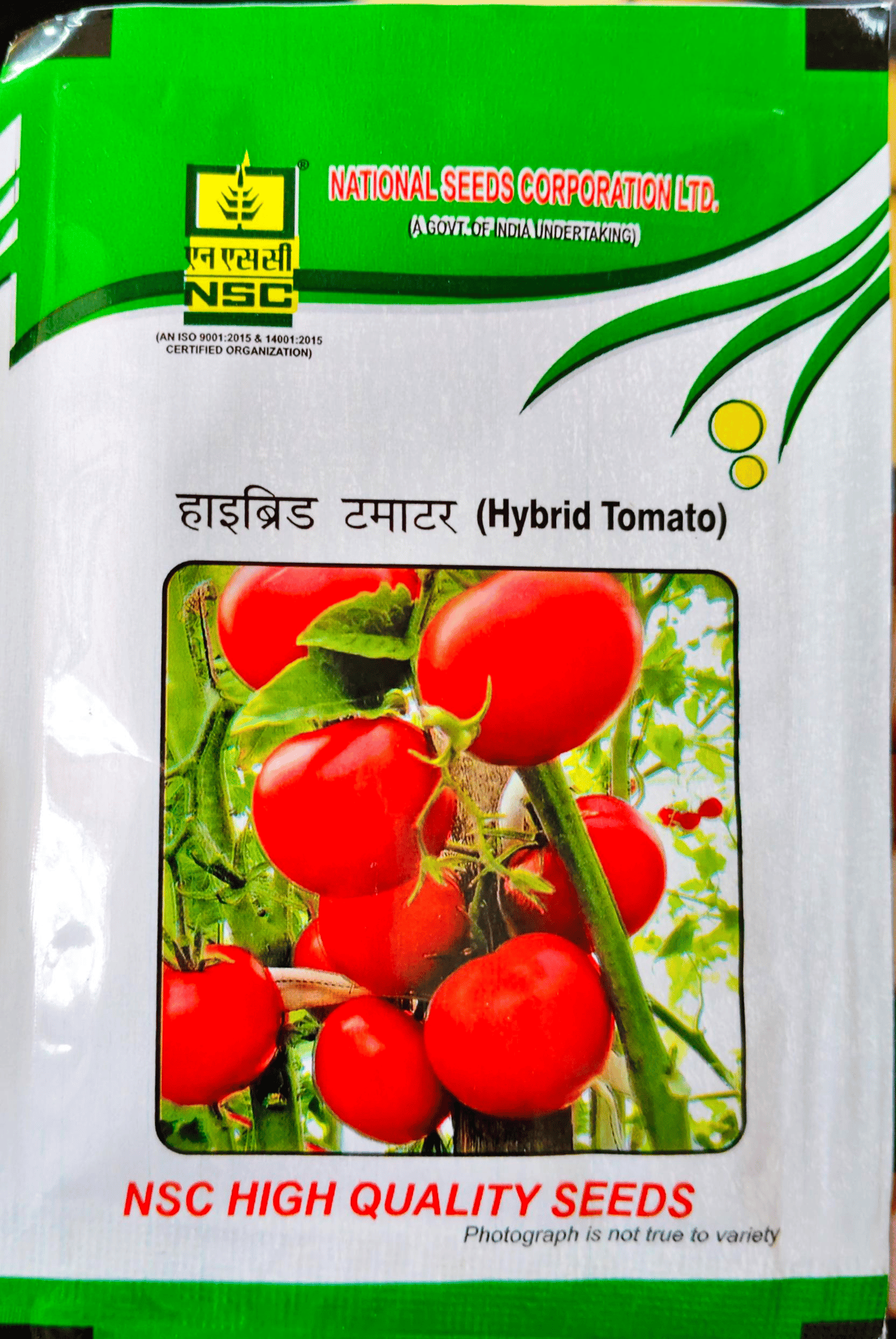 NSC HYBRID TOMATO/KASHI ABIMAN