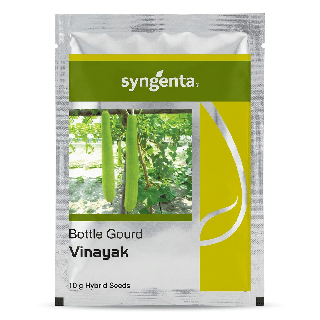 Syngenta Vinayak Bottle Gourd Hybrid Seeds (10 g)