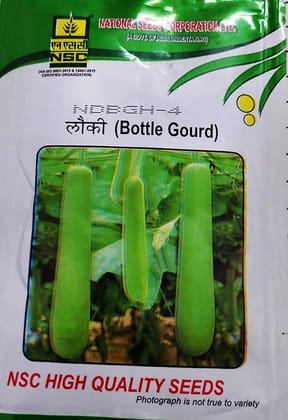 NSC BOTTLEGOURD NDBGH-4 10 GM PACK