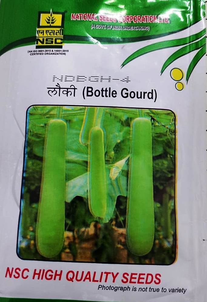 NSC BOTTLEGOURD NDBGH-4 10 GM PACK