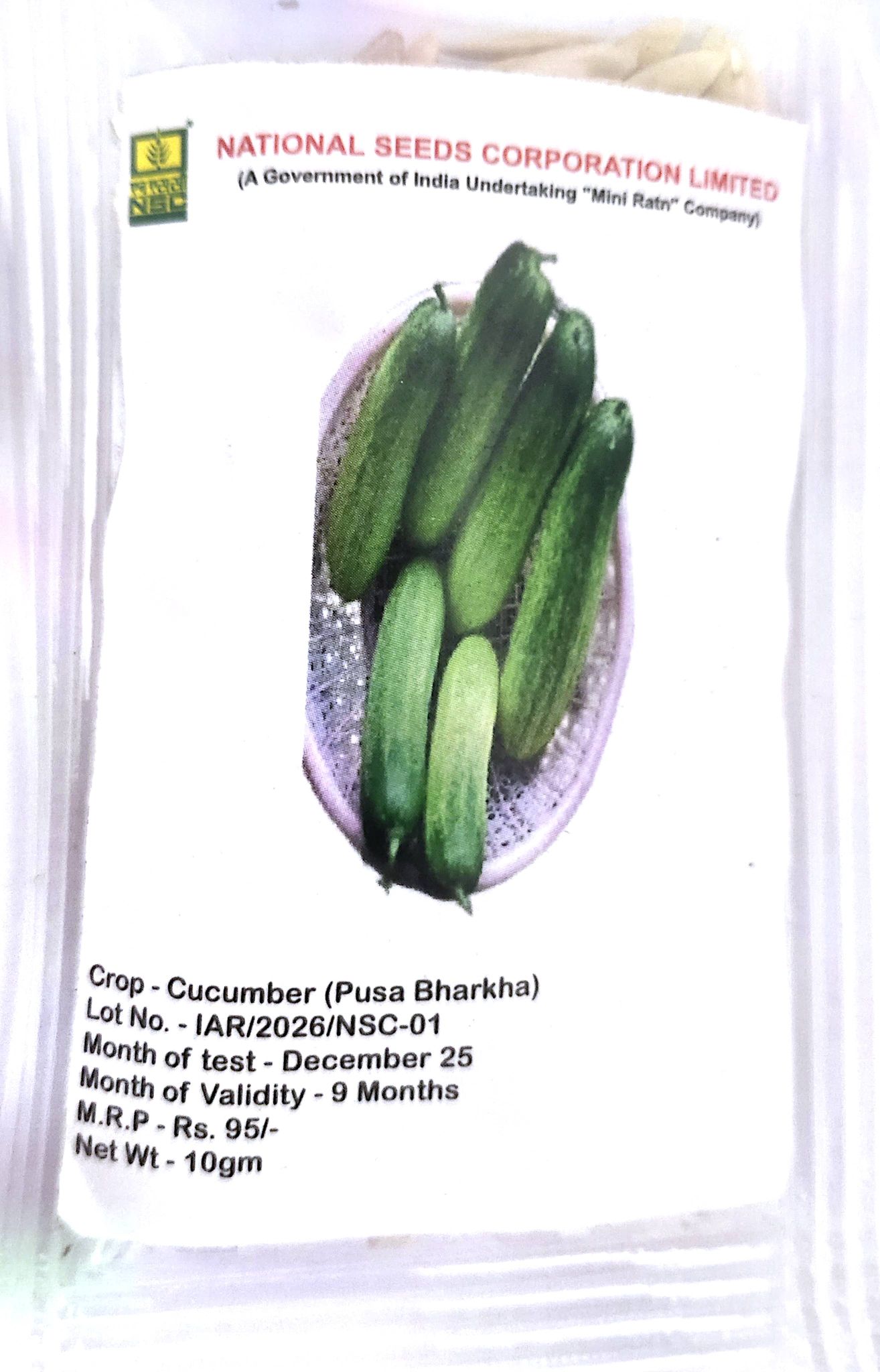 NSC Cucumber Pusa Bharkha, 10 Gram TL seed