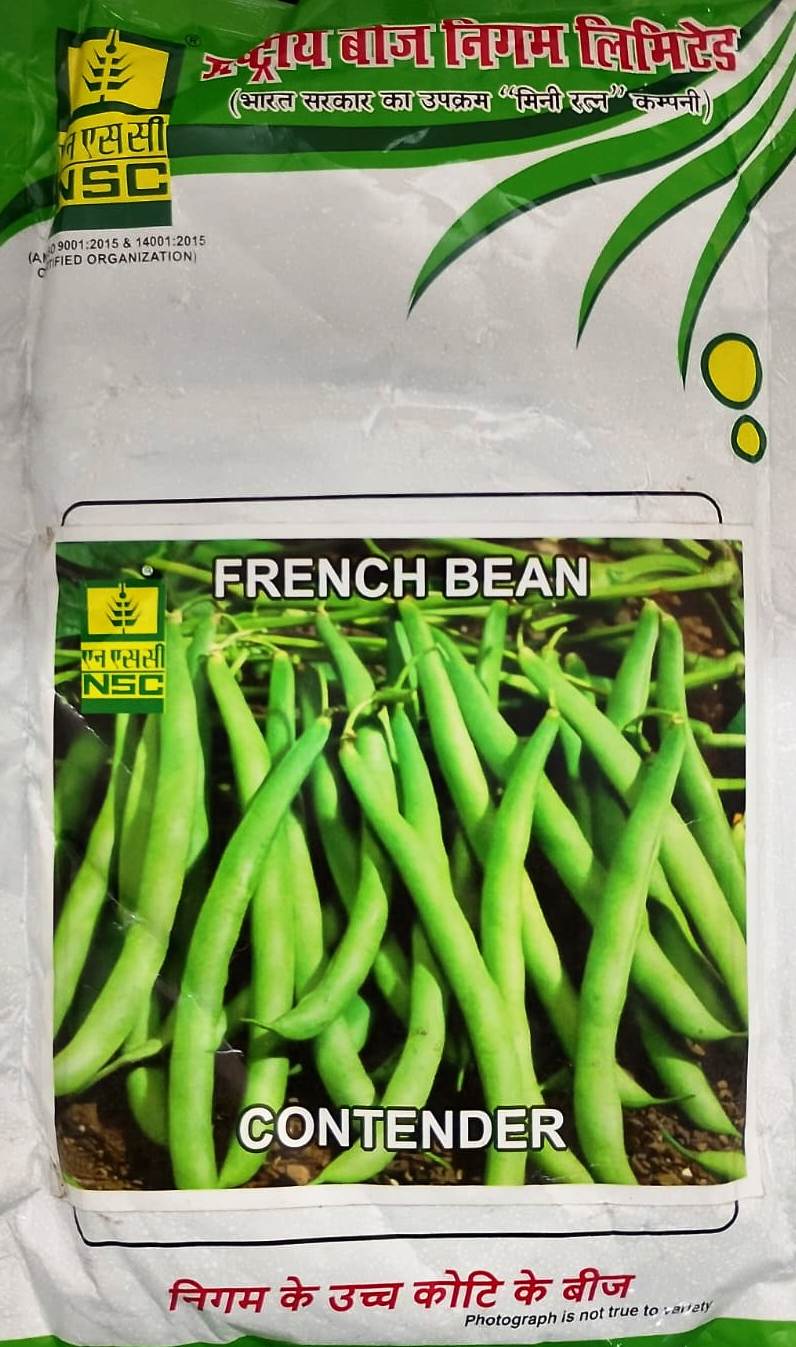 NSC Frenchbean Contendor 250 GM Pack