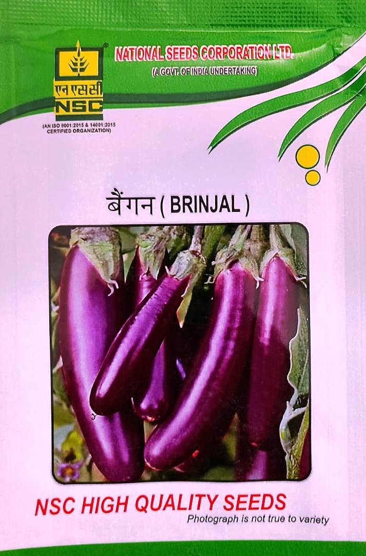 Nsc Brinjal Ppl 10 Gm Pack