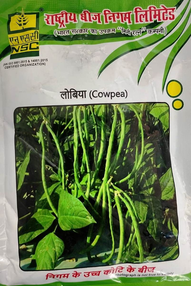 Nsc Cowpea Arka Garima 100 Gm Pack