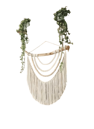 Natural Wood and Macrame Wall Hanging with Potted Plants