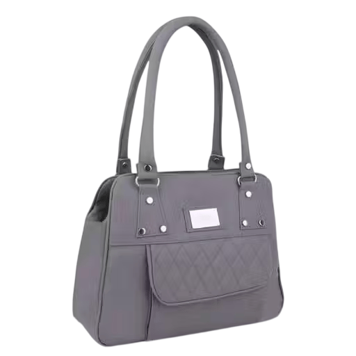 stylish women’s handbag