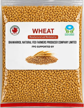 Wheat 