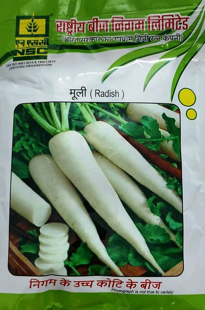 NSC Radish Kashi Aadra 100 GM Pack