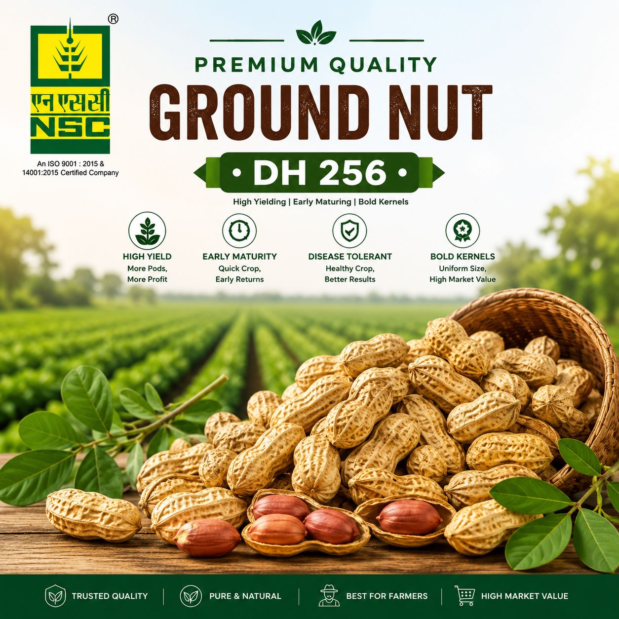 GROUNDNUT DH-256 CS PODS-2lkg 