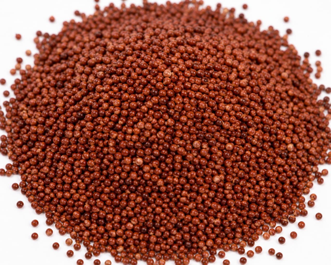 Nsc ragi /KMR 630 5 kg packing