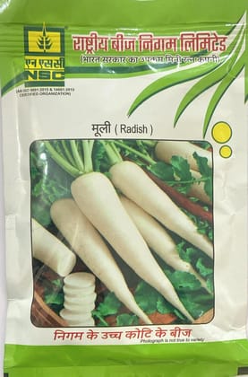 NSC - Radish (Kashi Aadra) TL seed