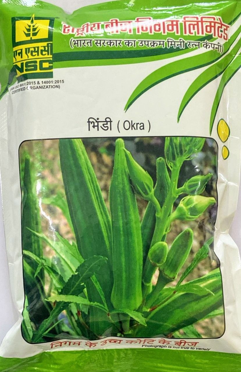 NSC Bhindi ( Pusa- 5) TL Seed