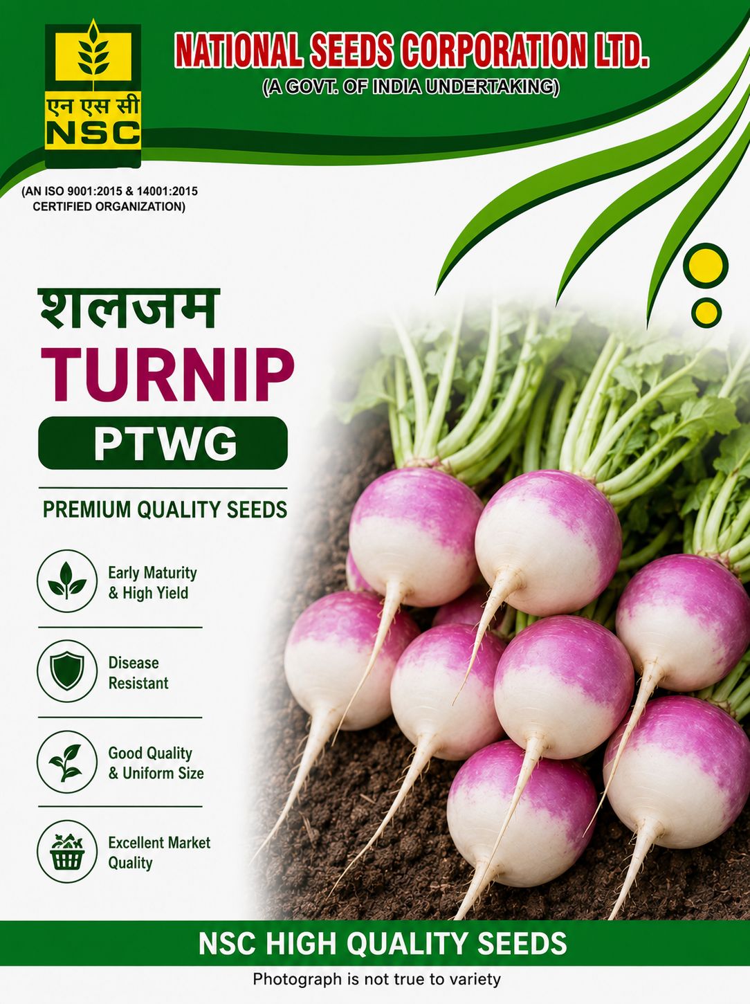 NSC Turnip, PTWG Variety, 100 gram Truthfully Labelled Seed Pouch