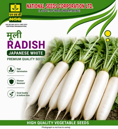 NSC Radish, Japanese White (JW) variety, 250 gram Truthfully Labelled Seed Pouch