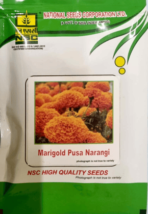 NSC Pusa Narangi | High - Quality T/L Seeds | 10 GMS Pouch 