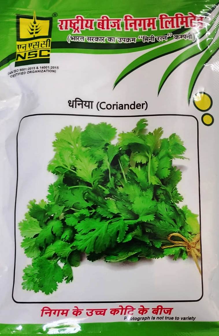 Nsc Coriander ACR-1 25 GM Pack