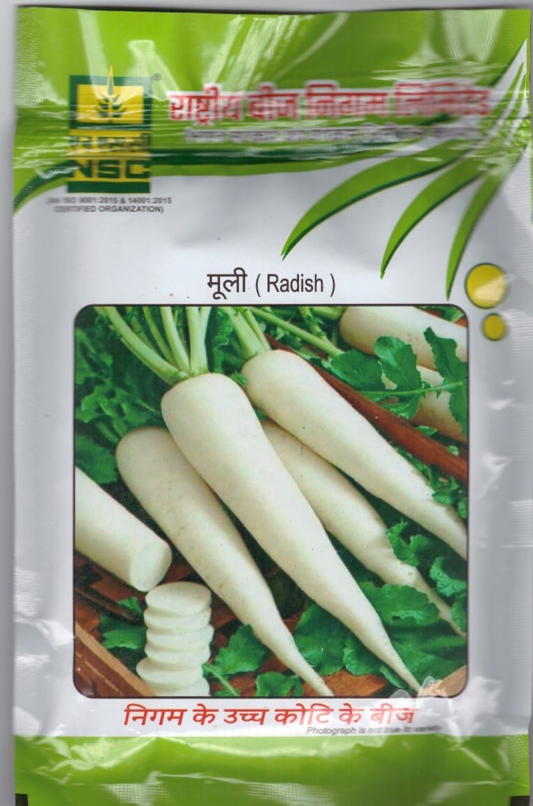 NSC Radish- Kashi Aadra, 100g Truthful Label Seed