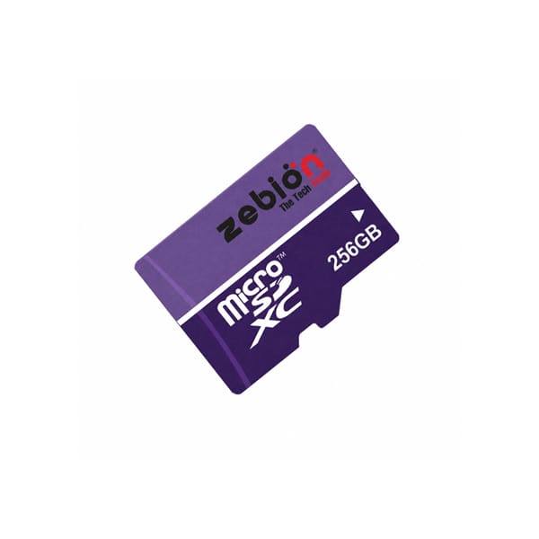 Zebion 256 GB Micro SD Card