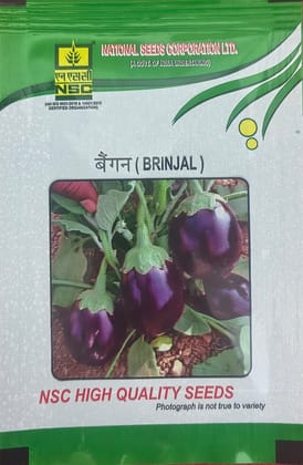NSC Brinjal Pusa Uttam Seed, 10gm 
