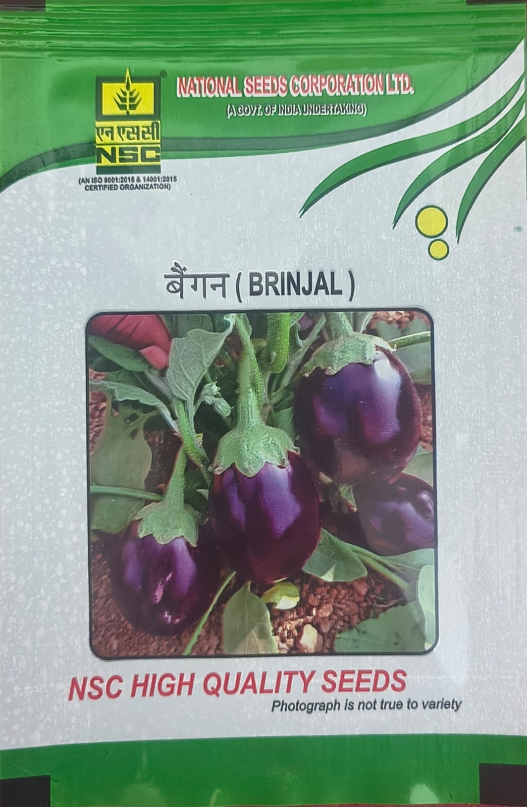 NSC Brinjal Pusa Uttam Seed, 10gm 