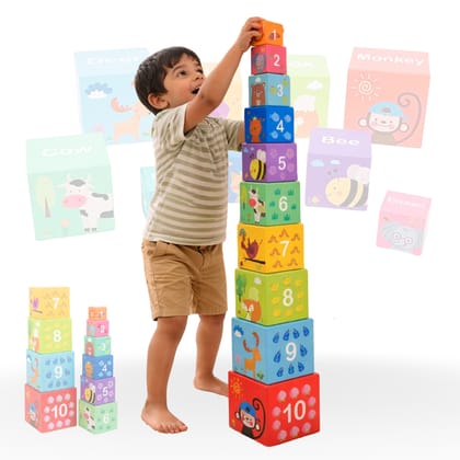Stacking Toy for Kids 1+ Years | 10-Piece Nesting Cubes | Early Learning | Brain Activity & Travel-Friendly Activity | Animal & Number Theme Learning Blocks for Gift (Multicolor) -  D'bebé