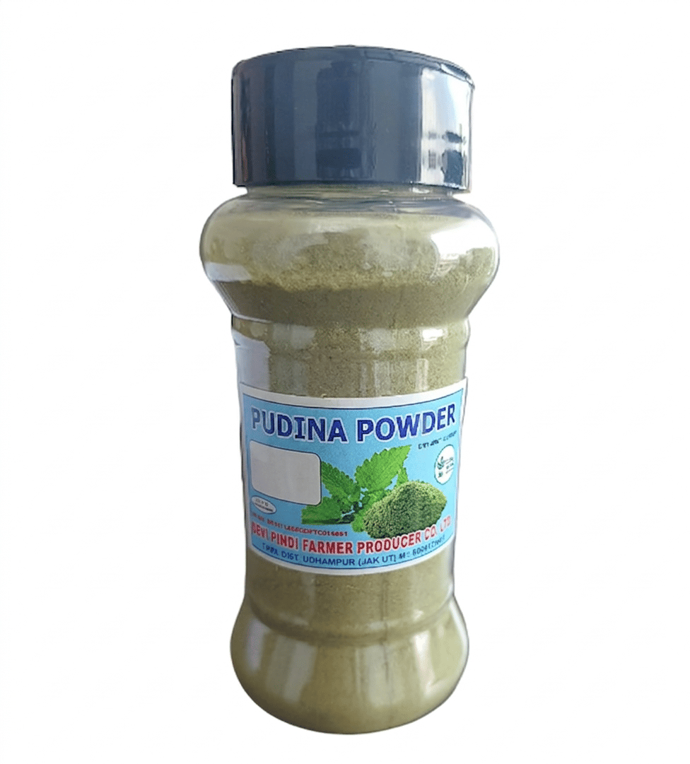 Pudina Powder