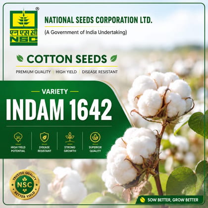 NSC INDAM 1642 BG2  COTTON SEEDS 