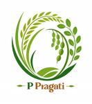 PUINTALA PRAGATI FARMER PRODUCER COMPANY LIMITED PUINTALA PRAGATI FARMER PRODUCER COMPANY LIMITED