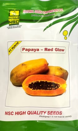 NSC Papaya F1 Hybrid Red Glow, 1 gram TL seeds