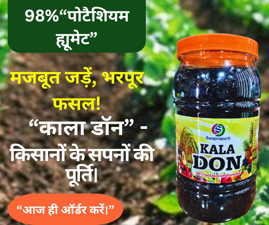 SWAPNAPURTI KALA DON