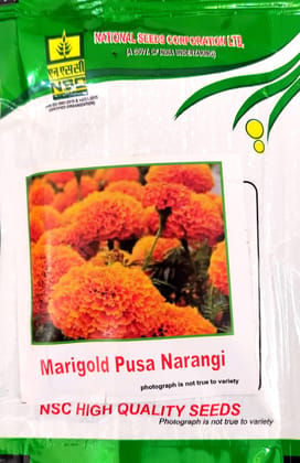 NSC FLOWER SEED- MARIGOLD -PUSA NARANGI-10gms