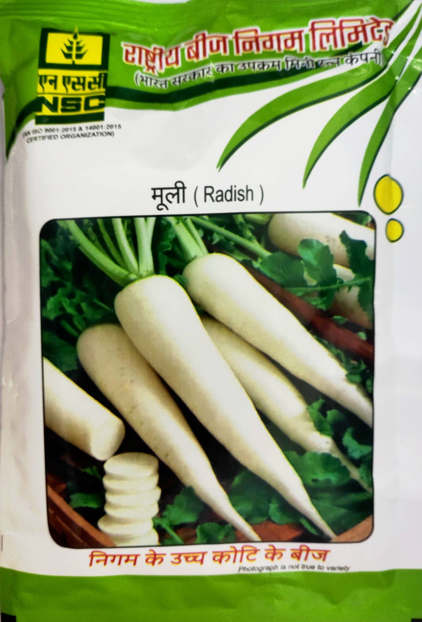 NSC Radish Pusa Chetki, 100 gram TL seeds