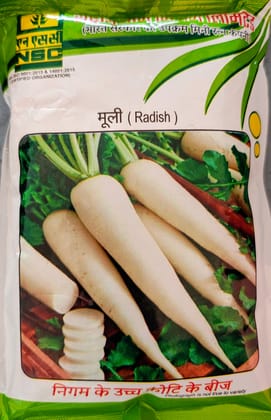 Radish – Pusa Chetki Radish – Pusa Chetki