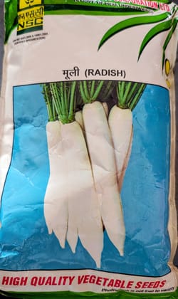 Radish – Pusa Chetki Radish – Pusa Chetki