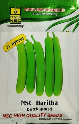 NSC Bottle Gourd Haritha 10 gm Pack