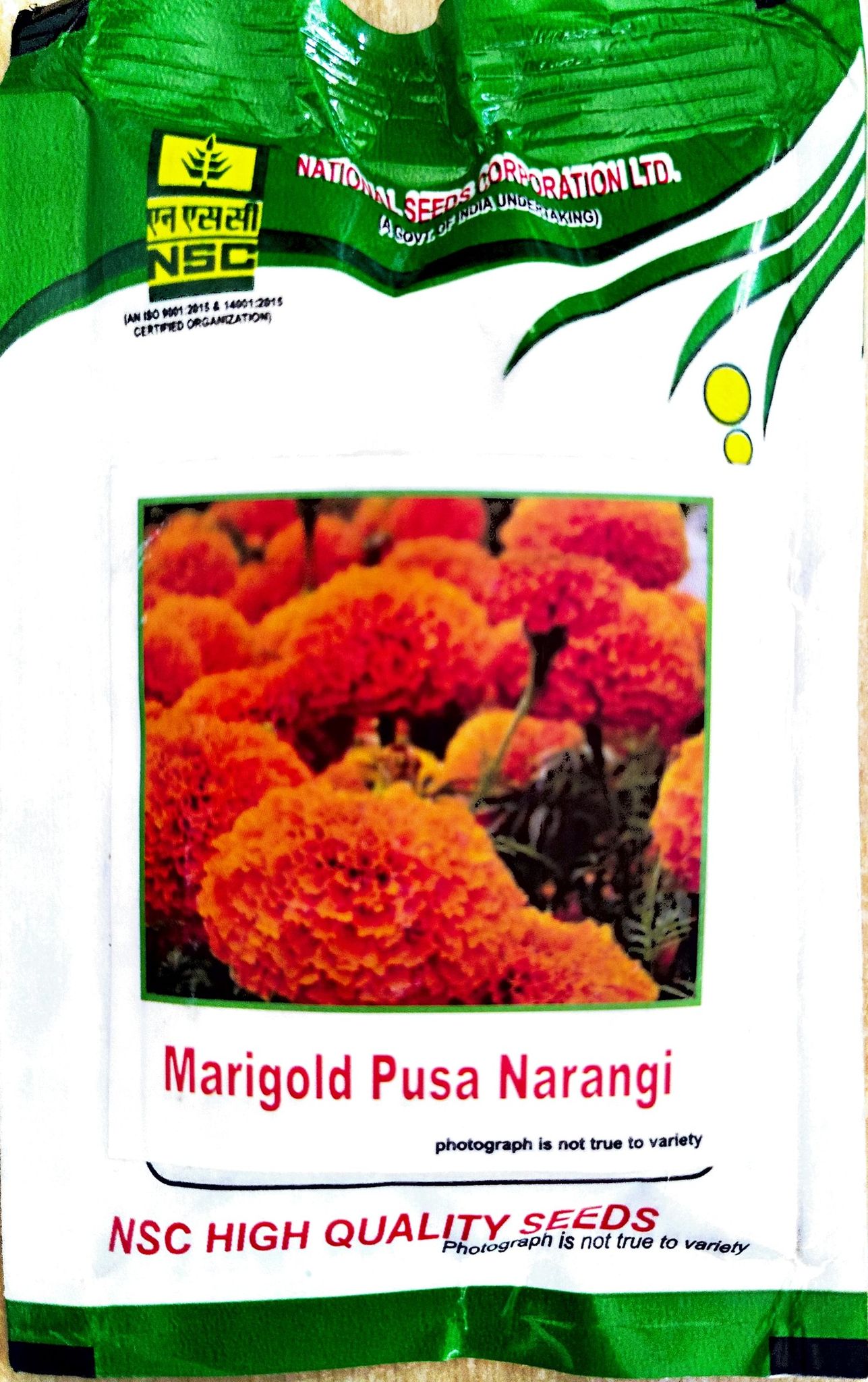 MARIGOLD