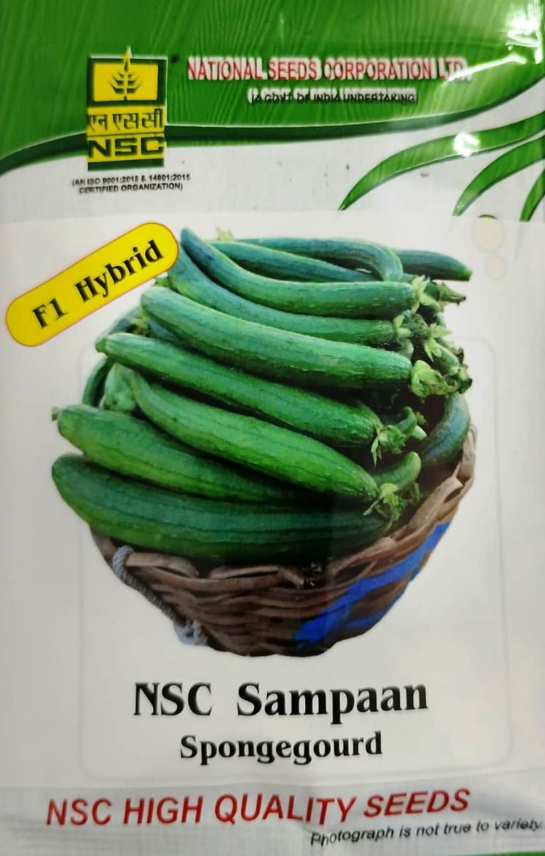 NSC Sponge Gourd Sampaan 10 gm Pack