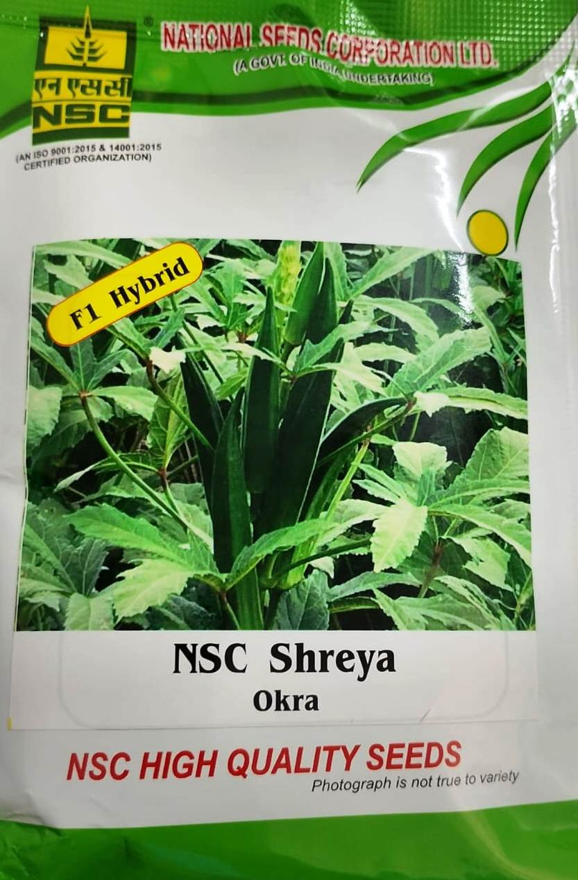 NSC Bhindi Shreya 100 gm Pack