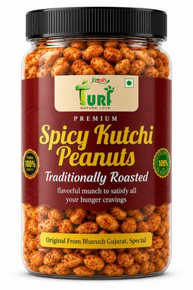 TURF FRESH - Spicy Kutchi Peanuts | Traditional Bharuch Roasted Sing Dana | Crunchy Masala Snack