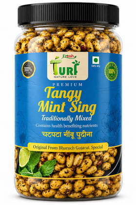 TURF FRESH Tangy Mint Sing Dana | Chatpata Nimbu Pudina Peanuts | Crunchy Snack