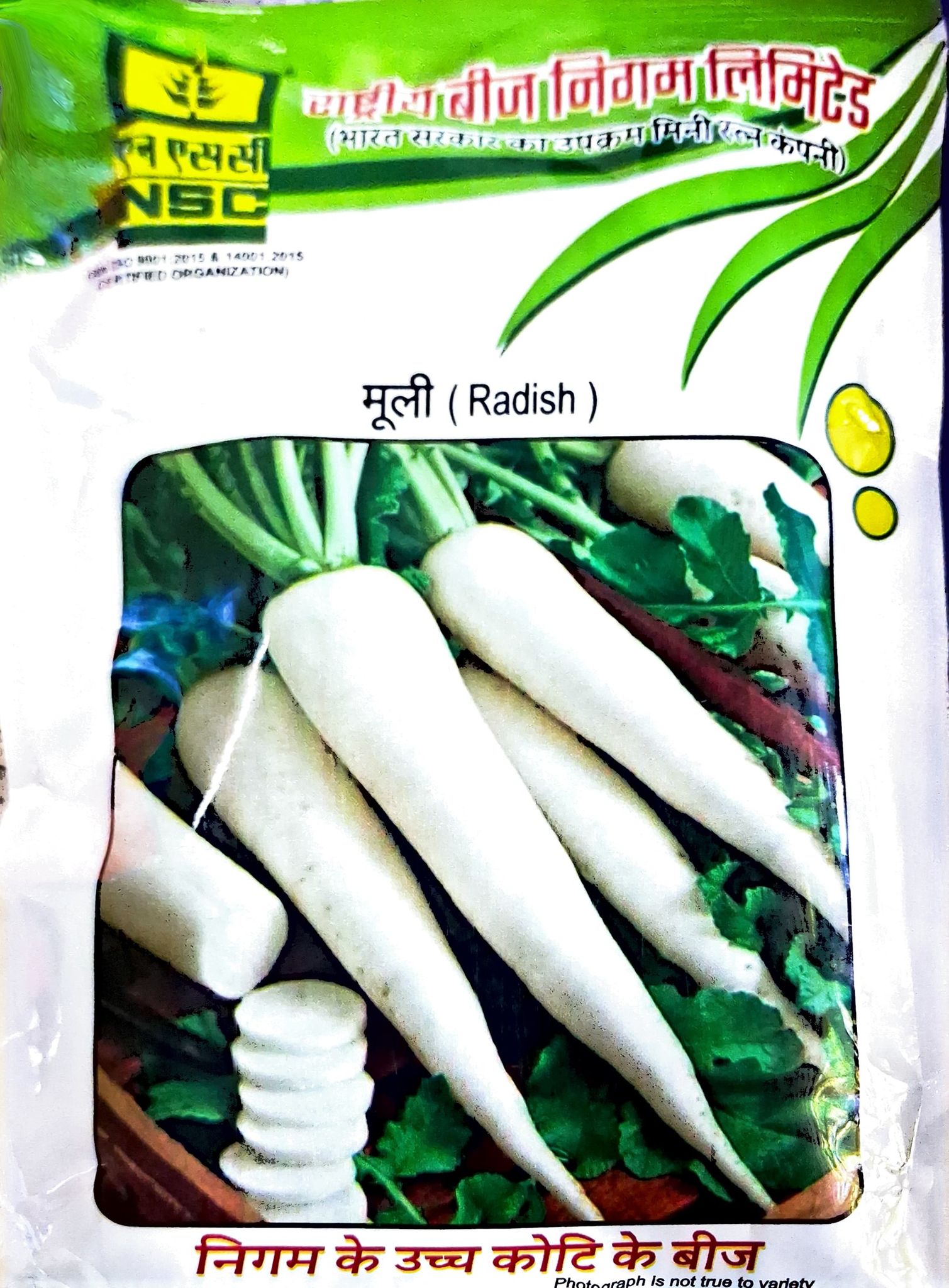 Radish Pusa Chetki- 100 gram