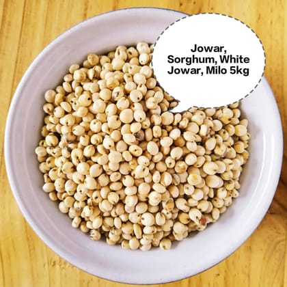 Jowar, Sorghum, White Jowar, Milo, Great Millet 5kg Jowar, Sorghum, White Jowar, Milo, Great Millet 5kg