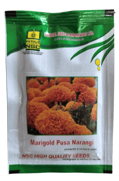 NSC Marigold Variety - Pusa Narangi, 10 gm Packing, Treated (T/L) Seeds