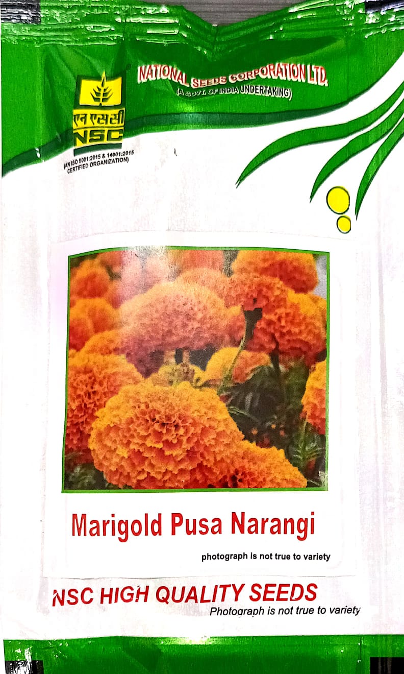 NSC Marigold Pusa Narangi High-Quality TL Flower Seeds – 10 g Pouch