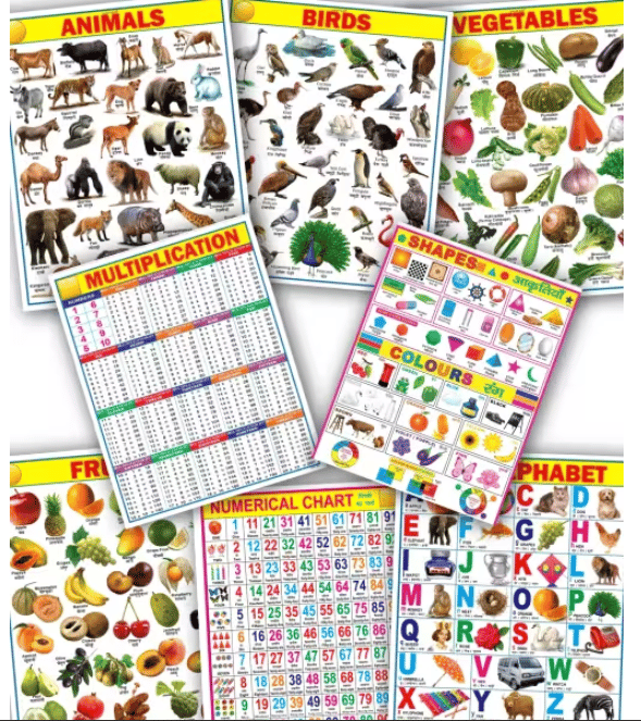 Learning Educational 8 Wall Charts for Kids (45 x 60 cm) – Educational Posters & Learning Charts for Early Education