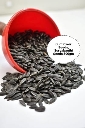 Sunflower Seeds, Suryakanthi Seeds, Black Sunflower Seeds, Premium Sunflower Seeds, Natural Sunflower Seeds 500gm Sunflower Seeds, Suryakanthi Seeds, Black Sunflower Seeds, Premium Sunflower Seeds, Natural Sunflower Seeds 500gm