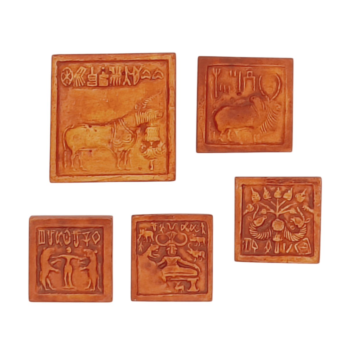Fridge Magnet: Set of Five