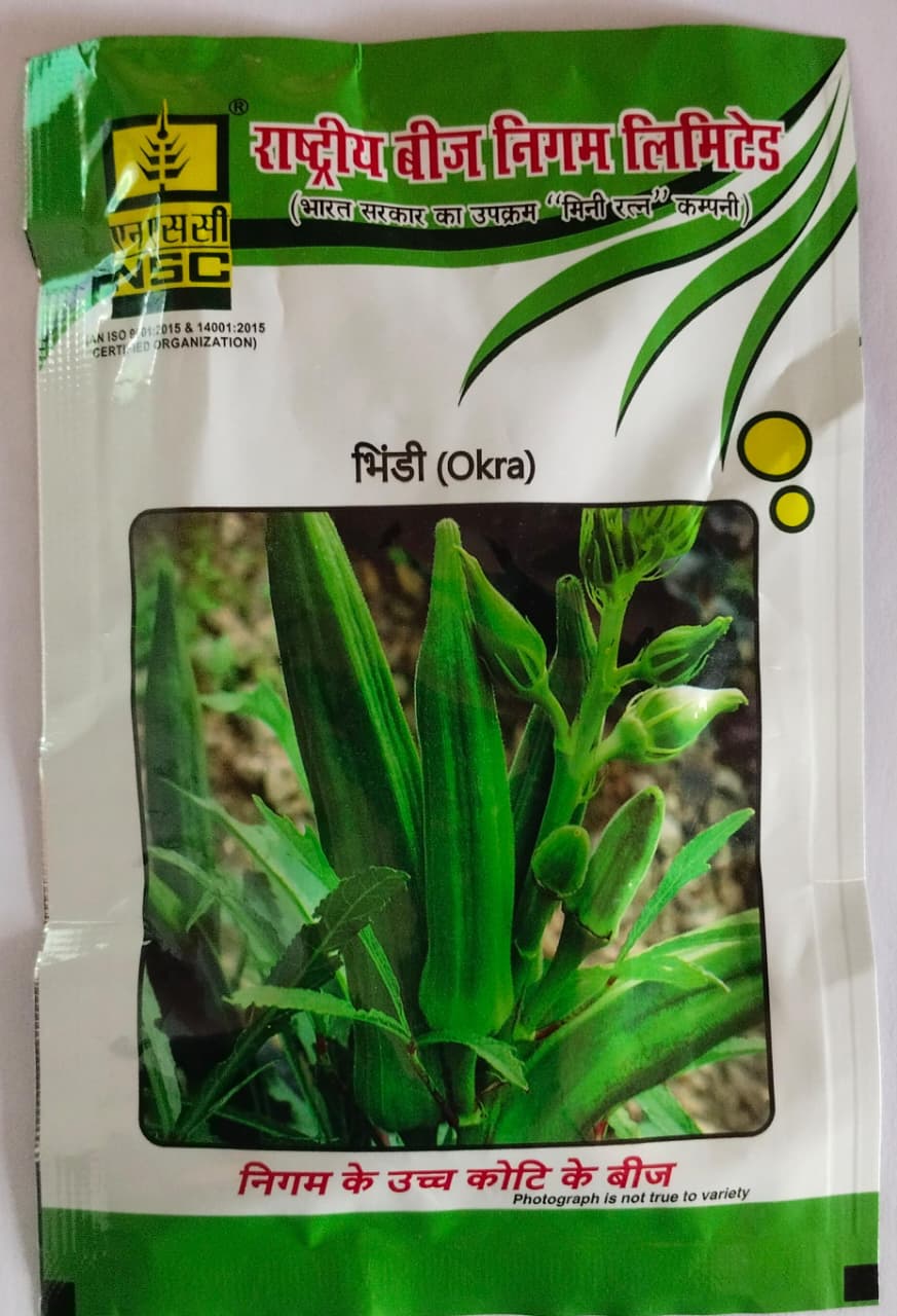 NSC Bhindi AA (Arka Anamika) High Quality Seeds, 50g